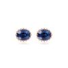 Roseedor Stitch Sapphire Earrings_221800004