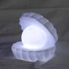 Mini Pearl Mussel Night Light Soft Lights Cartoon Shell Lamp Bedroom Nightstand Desktop