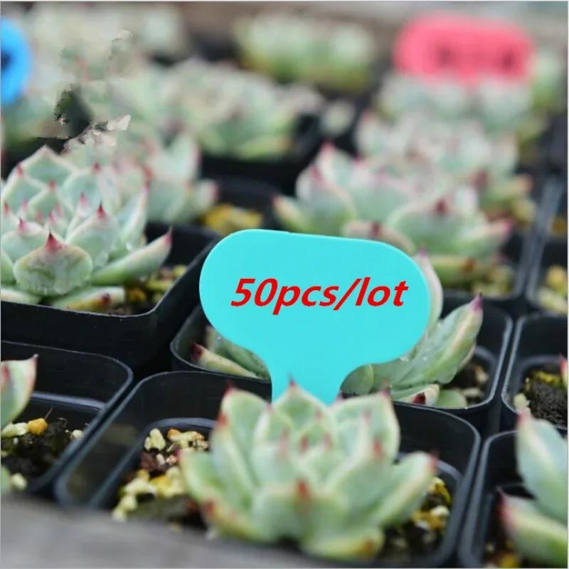 50 Buc. Etichete de Plante din Plastic în Formă de T, Etichete Groase pentru Marcare, Etichete pentru Plante de Grădină, pentru Ghivece de Flori