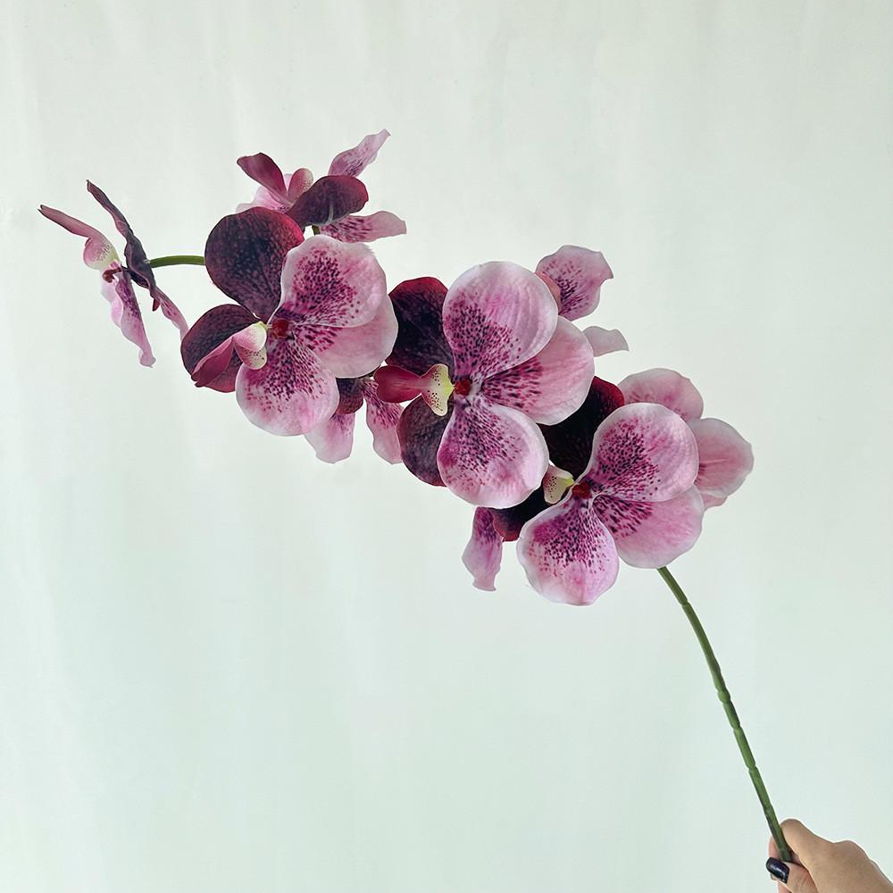 

Фаленопсис Цветок Искусственный Афродита Свадьба Отель Ресторан Украшение Rose Purple