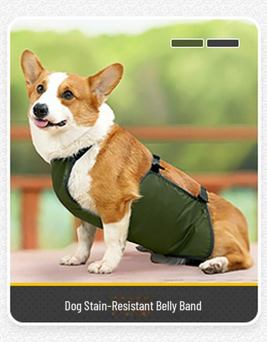 Letní kombinéza pro mazlíčky proti vypadávání srsti: Prodyšný, čtyřnohý domácí obleček pro velké psy