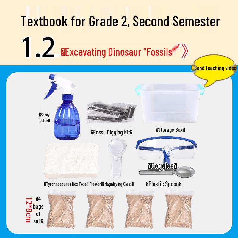 Second Grade Science Experiment Kit: Dinosaur Fossil Excavation