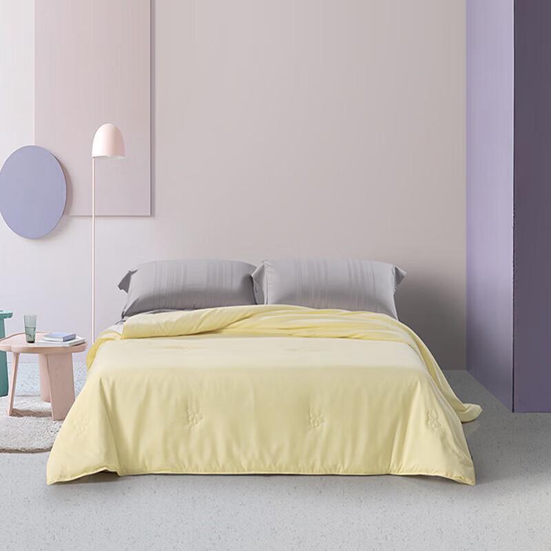 Mercury Home Textiles Washable Silk Summer Quilt