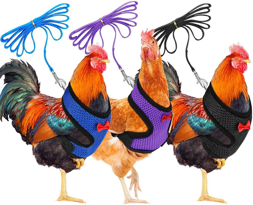  Chicken Rope With Leash And Matching Belt,Comfortable Hen Pet Vest