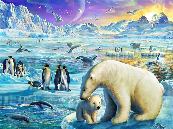 Full Square/round Diamond Painting Embroidery Polar Bear Home Decor Mosaic Cross Stitch Arctic Animal Wall Sticker