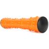 Dog Chew Toy Teeth Cleaning Stick with Sound Pet Interactive Molar Playing Toy