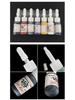 Lichen No. 6 Tattoo Pen Set: Motorized Lining & Shading Equipment