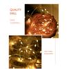 LED Fairy Lights Battery Operated String Lights 6.6FT 20 LEDs Copper Wire Mason Jar Light Waterproof for Indoor Outdoor Decor