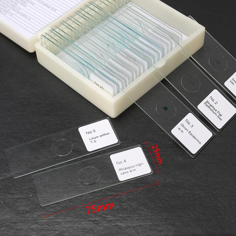 25PCS Set Biological Glass Sample Prepared Basic Animal Plants Insects Tissues Science Specimen Cover Slips Portable