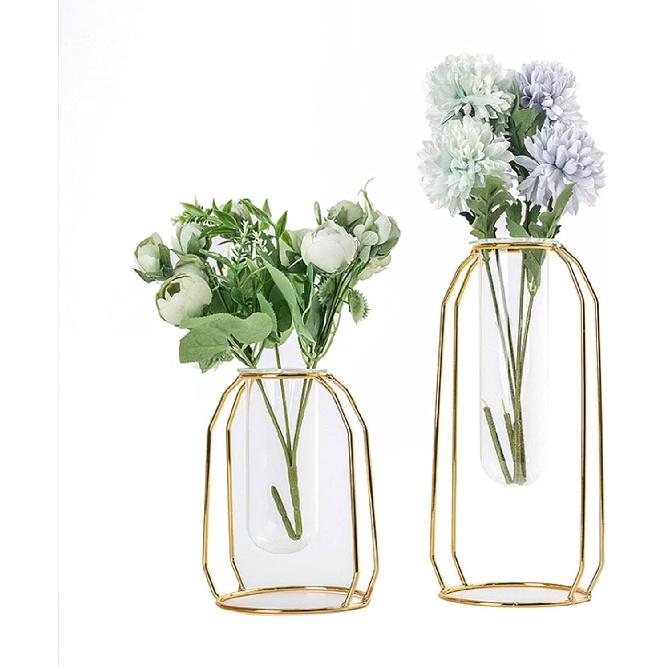

Flower Vases with Iron Art Frame, Iron Art Flower Vase Terrarium Planter, Vases for Decor Clear Vase Decorations for Living Room Wedding Holiday