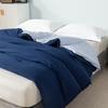 Guroo Home Textile Skin-Friendly 2-in-1 Four Seasons Duvet