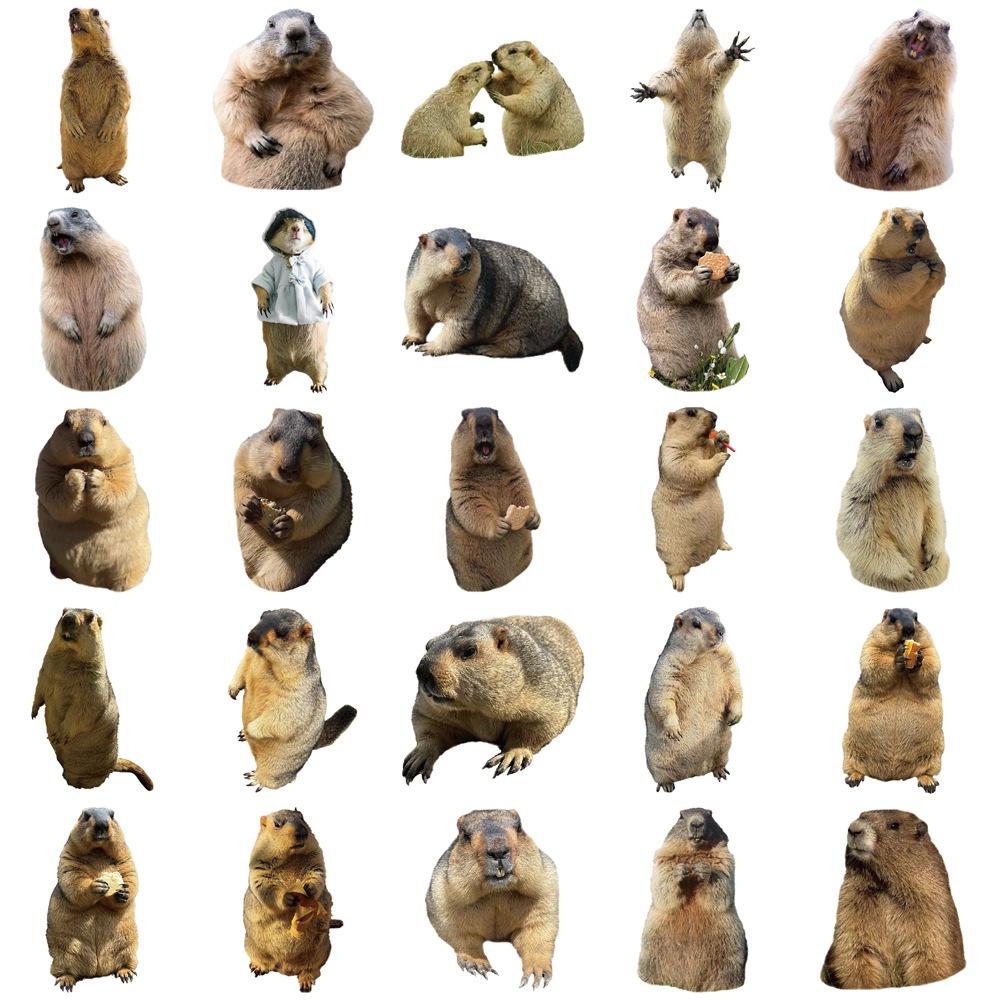 50 Creative Marmot Stickers Set for Journals, DIY, Water Bottles & Phone Cases