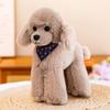 Lying Poodle Plush Toy - Dog Doll Birthday Gift