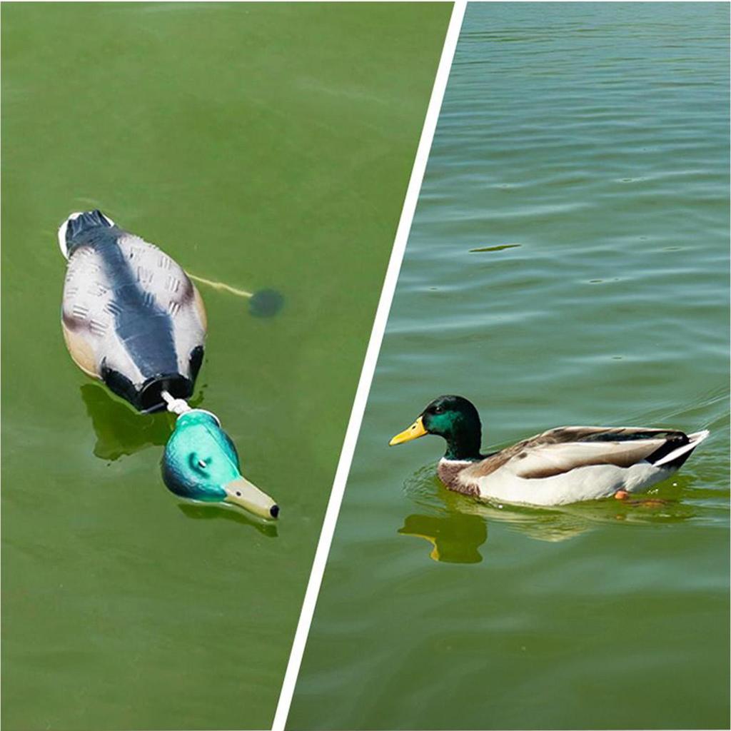Duck Training Toy for Dogs Waterfowl Hunting Retriever Floating Scent Fowl Trainer Interactive Decoys Pet Supplies