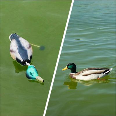 Duck Training Toy for Dogs Waterfowl Hunting Retriever Floating Scent Fowl Trainer Interactive Decoys Pet Supplies