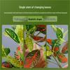 Color-Changing Green Radish Leaves for Home & Garden Decoration – Artificial Long-Lasting Wall Plants for Photography