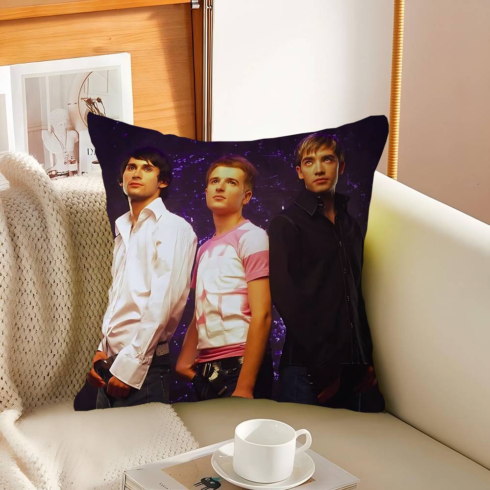 Fontaines D.C Pillow Covers Cartoon Sofa Decorative Home Double-sided Printing Short Plush Cute Cushion Cover