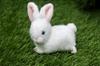 Petit Lapin White Plush Toy 063015 11cm Take-Off Size Approx.