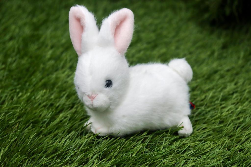 Petit Lapin White Plush Toy 063015 11cm Take-Off Size Approx.