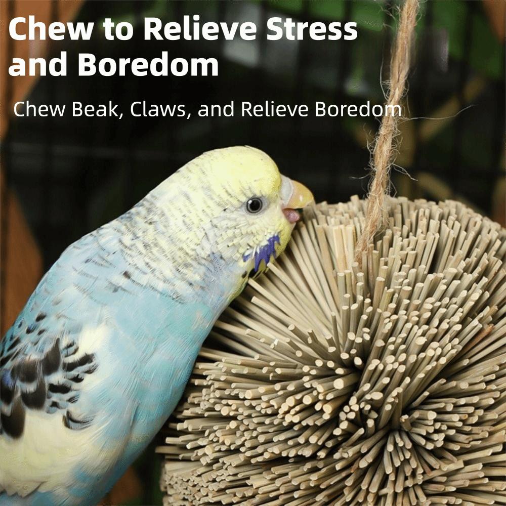 Natural Grass Parrot Hanging Grass Ball Chew-able Bite Resistant Bird Foraging Ball Shreddable Bird Chewing Parakeet
