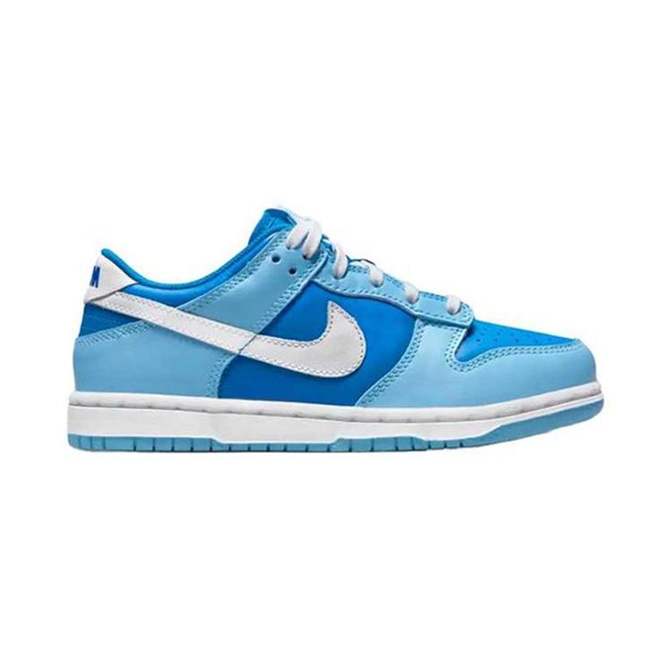 (PS) Nike Dunk Low Retro QS 'Argon' 2022 Kids' DV2635-400