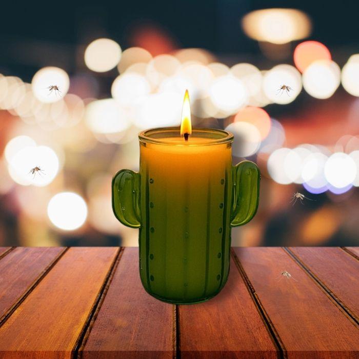 Bougie Citronnelle Cactus en Pot – Anti-Moustique Extérieur Durable