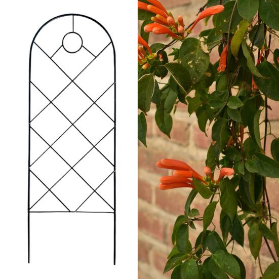 Plant Climbing Support Universal Weather Resistant Reusable Lightweight Climbing Plants H Potter Garden