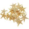 Julie Wang 20PCS 0.2-0.5 inches Tiny Small Miniature Natural Starfish Micro-Landscape Beach Wedding Nautical Ornament Shells Resin Craft DIY Vase