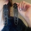Silver Needle Feather Fringed Earrings Long Light Luxury Atmospheric Stud Earrings Personalized Design Earrings
