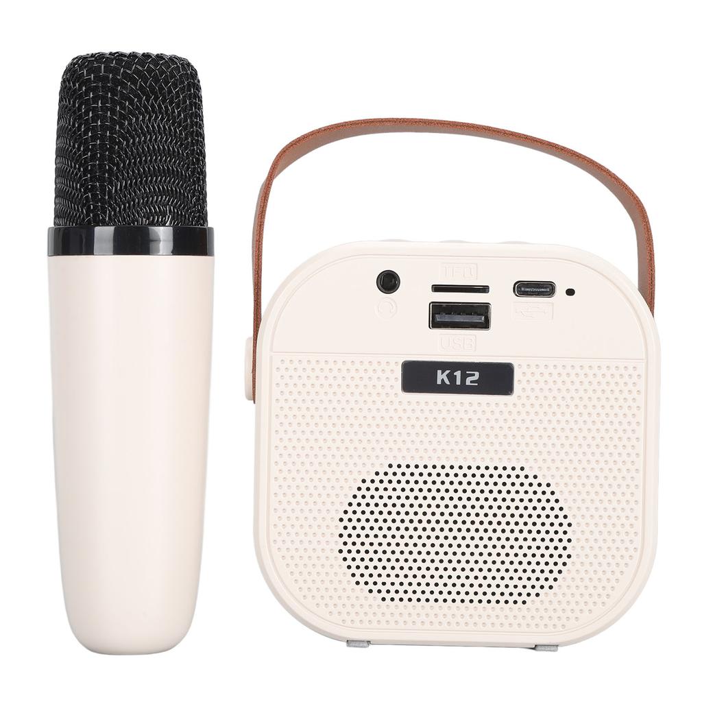 Taşınabilir Karaoke Makinesi LED Dinamik Işık Küçük Hoparlör Mikrofonlu 4 ila 12 Yaş Çocuklar Yetişkinler İçin