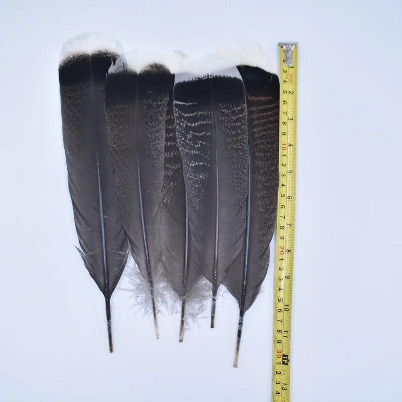 10Pcs Real Natural Eagle Feathers for Crafts Decoration Turkey Pheasant Carnival Hats Accessories Feather Decor Plumes Headpiece