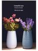 Modern Nordic Ceramic Dried Flower Vase - Minimalist Hydroponic Container for Home Decor