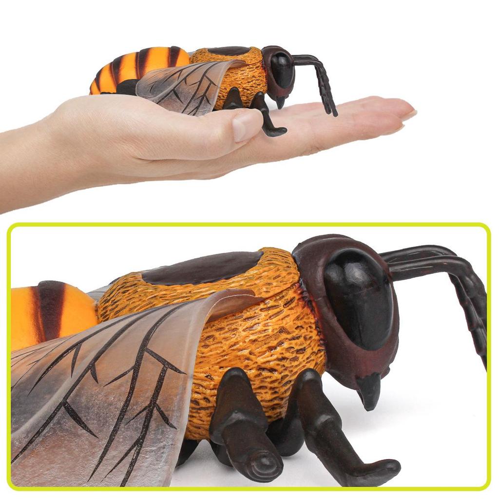 Children's Large Wild Insects Cognitive Simulation Toy - Bee, Wasp, Hornet Model Decoration