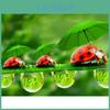 Ladybug Painting Full Animal Diamond Round Cross Stitch 5d Diy Diamond Embroidery