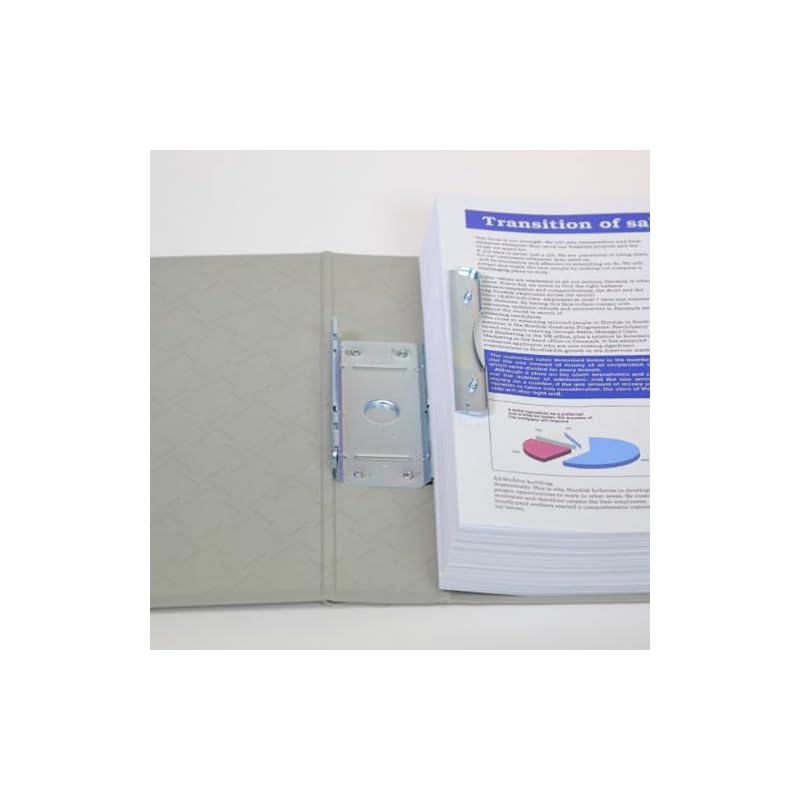King Jim Thick File King File G, 300-sheet Capacity, A4 Vertical, Blue, 973GX-B