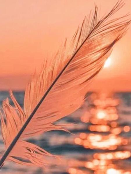 

5D DIY алмазная живопись закат набор для вышивки крестом Алмазная вышивка перо мозаика пейзаж распродажа картина стразы искусство Full Round 20x25CM