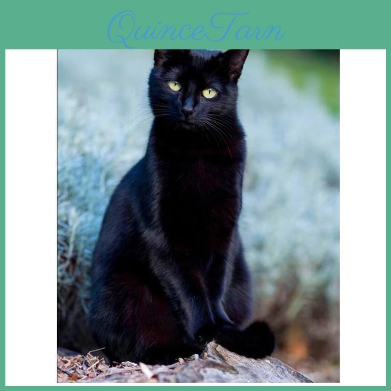 Full Diy Roundsquare 5d Diamond Painting Elegant Black Cat Diamond Embroidery Cross Stitch Kits Home Decor Handmade Gifts