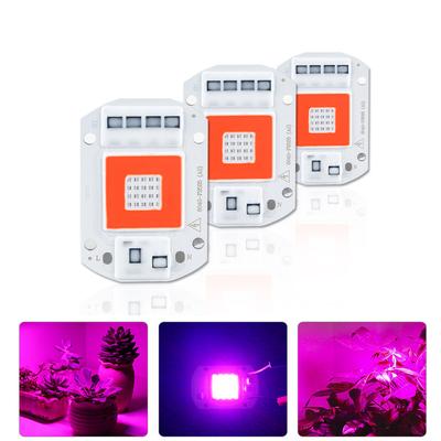 Red + Blue Plant Light Beads 20/30/50W Full Spectrum Plant Growth COB LED Grow Light Chips Greenhouse Tent Growing 110/220V
