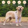Pet Knee Pads for Joint Injury Recovery Legs Protector Dog Thigh Brace Wrap Adjustable Support Belt Post-operative Fixation