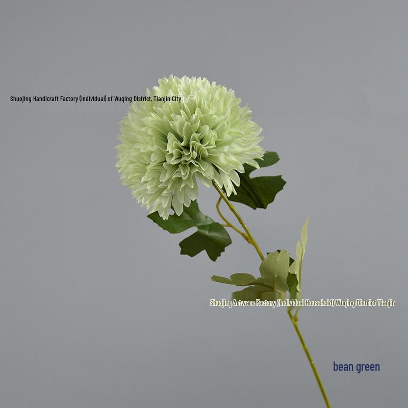 Green Onion Ball Single Stem Chrysanthemum Gift Box Bouquet and Floor Stand Accessories