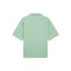 Li Ning Polo Shirt Unisex Verdant Leaf Green APLS018-3