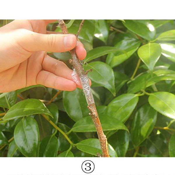 Garden Tools Grafting Machine Tree Grafting Tools Secateurs Scissors Grafting KIT Cutting Pruner