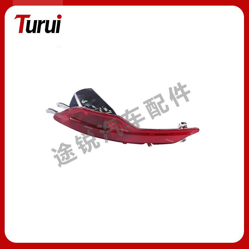 BMW X6 Rear Bumper Reflector Light (63147187219/63147187220)