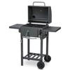 Griglia a Carbone Berdsen Bd-892