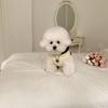 Autumn Pet Teddy Bichon Dog Clothes Autumn Bee Transformation Clothes Pomeranian Yorkshire VIP