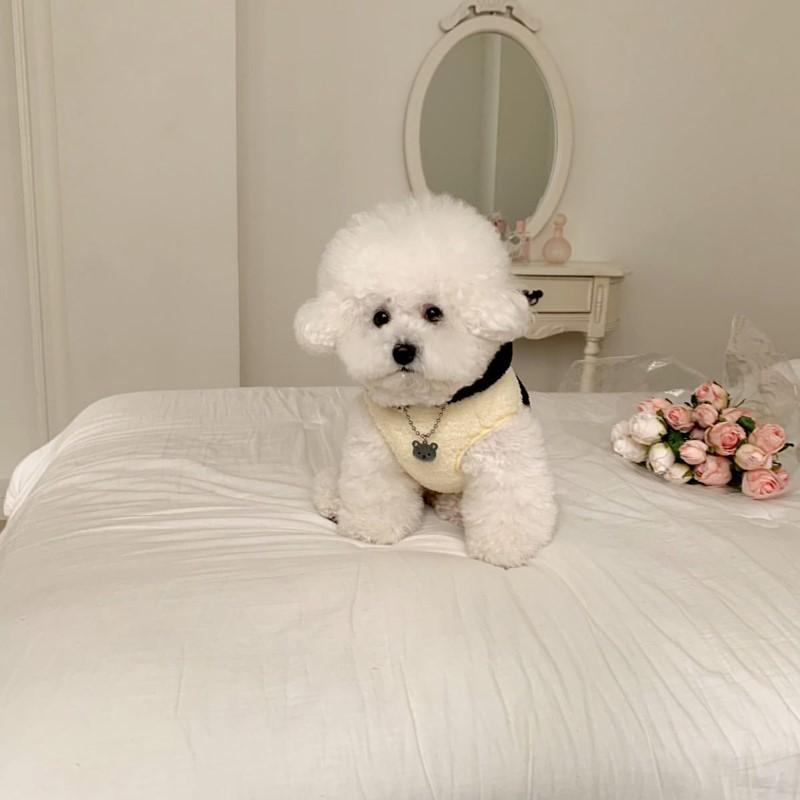 Autumn Pet Teddy Bichon Dog Clothes Autumn Bee Transformation Clothes Pomeranian Yorkshire VIP