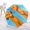 Paraguas Automático de Apertura y Cierre Temático El Rey León Simba Nala, Paraguas Portátil de 8 Varillas de Colores Brillantes, Adecuado para Hombres y Mujeres, Un Regalo Perfecto