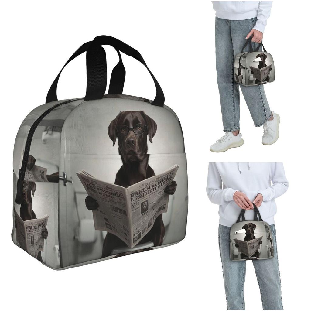 Chocolate Labrador Reading A Newspaper Insulated Lunch Bag for Women Kids Portable Food Boxes Thermal Lunch Box Tote
