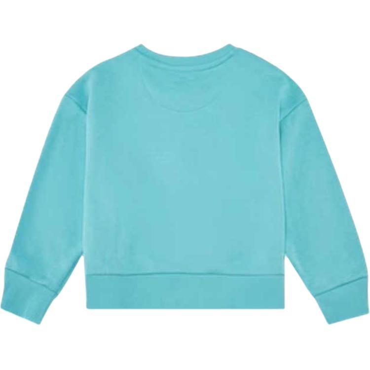 Nike Sweatshirt Frost Green Children Aged 3 7 Years Old Kids' HQ7909-328