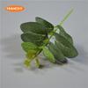5Pcs Artificial Eucalyptus Leaves Fake Plants Grass for DIY Home Wedding Christmas Vases Decorative Flowers Wreaths Accessories